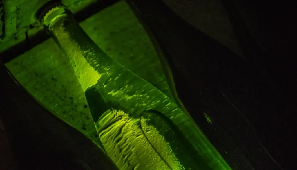 Champagne bottle ageing on its lees in a cellar