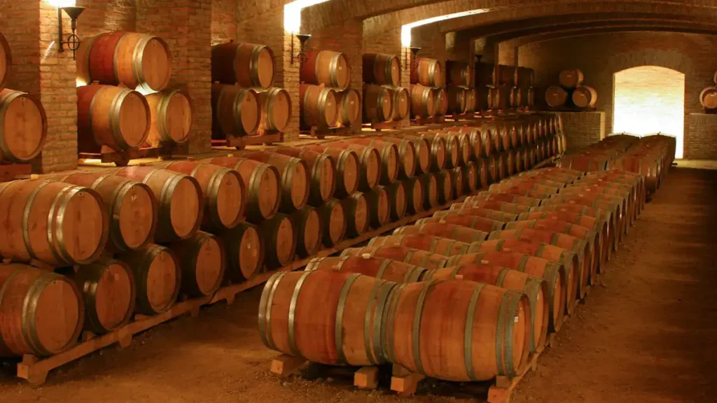 A wine cellar full of oak barrels to age wine