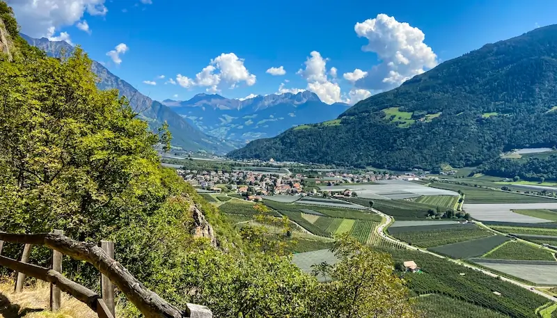 Picture of the wine region Alto Adige in Italy. It shows vineyards and a town with mountains in the back.