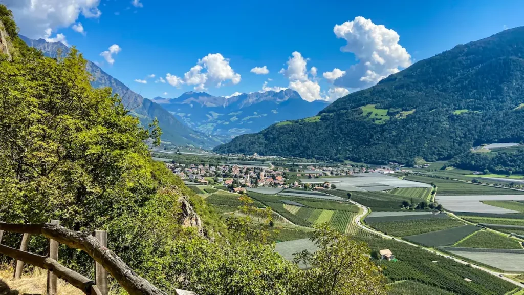 Picture of the wine region Alto Adige in Italy. It shows vineyards and a town with mountains in the back.