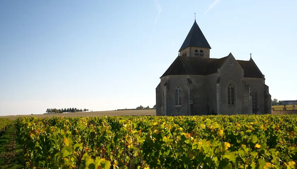 Chablis vineyard in France