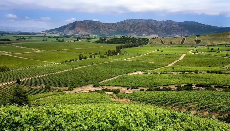 Vineyards in the Colchagua Valley in Chile