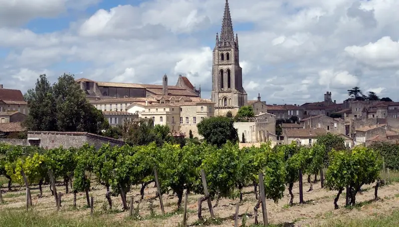 A vineyard in Saint Emilion, in the Bordeaux region, France