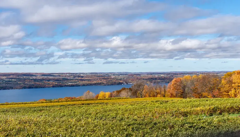 Vineyards in the Finger Lakes in New York State, USA