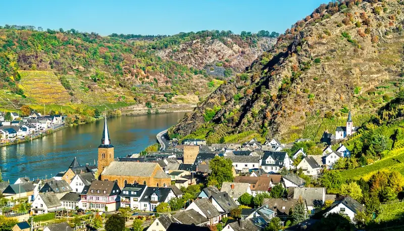 Moselle vineyards around the Mosel river in Germany