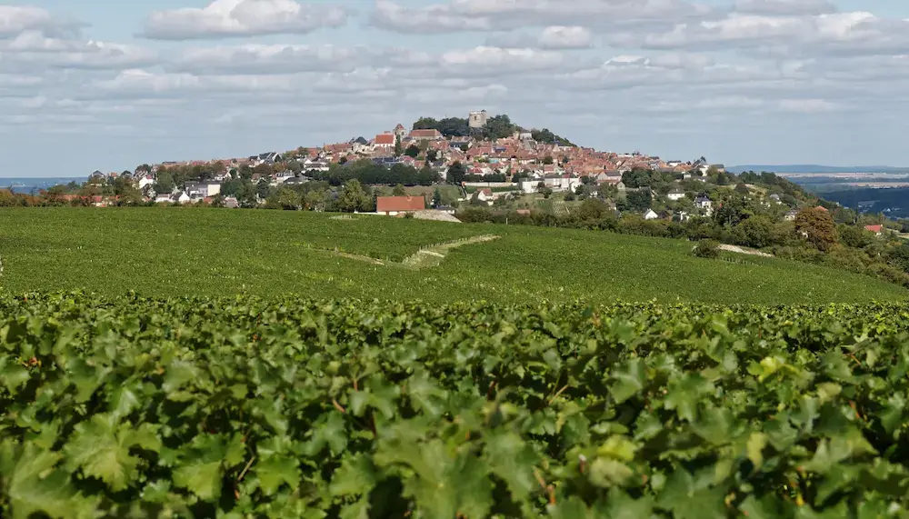 A vineyard in Sancerre in the Loire Valley, in France. The town of Sancerre is in the background.