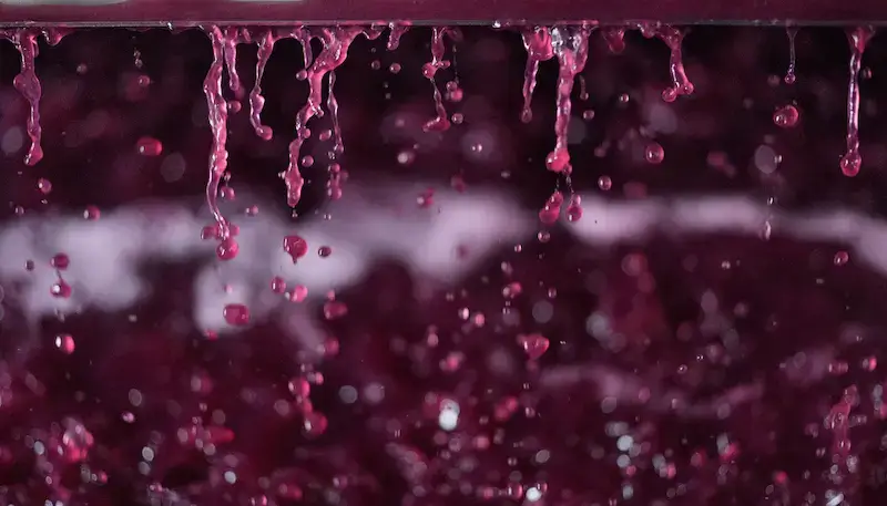 Red wine pressing to transform into juice