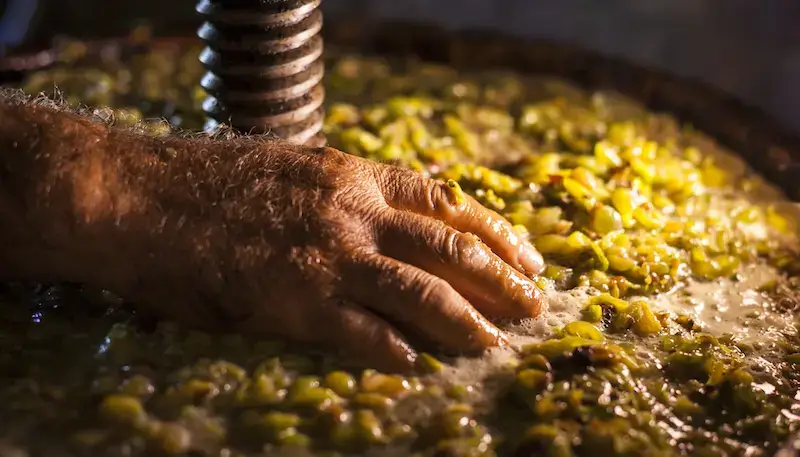 White grapes fermentation