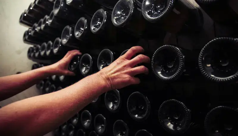 Manual riddling of Champagne bottles while the wine is ageing on lees.