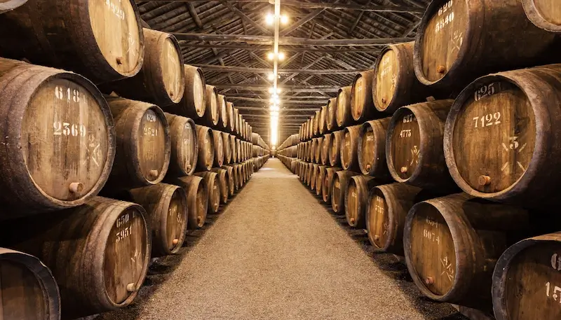 Port cellar, full of oak barrels