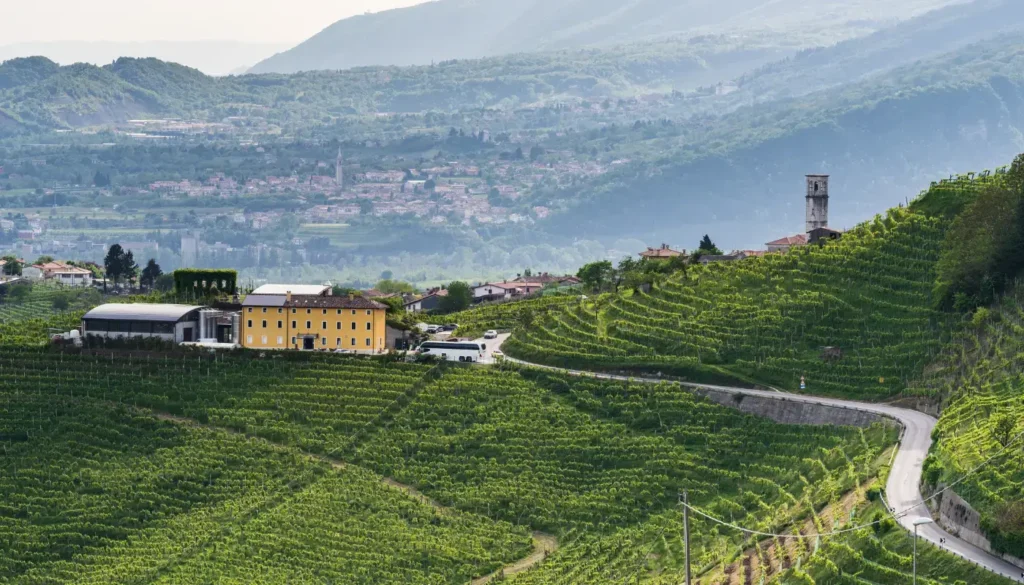 Vineyards on the steep hills of Valdobbiadene in the Prosecco region