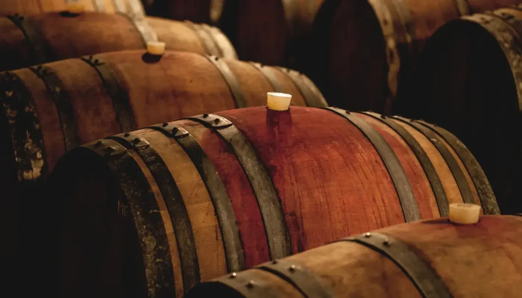 Rows of oak barrels in a wine cellar